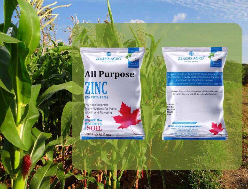All Purpose Zinc